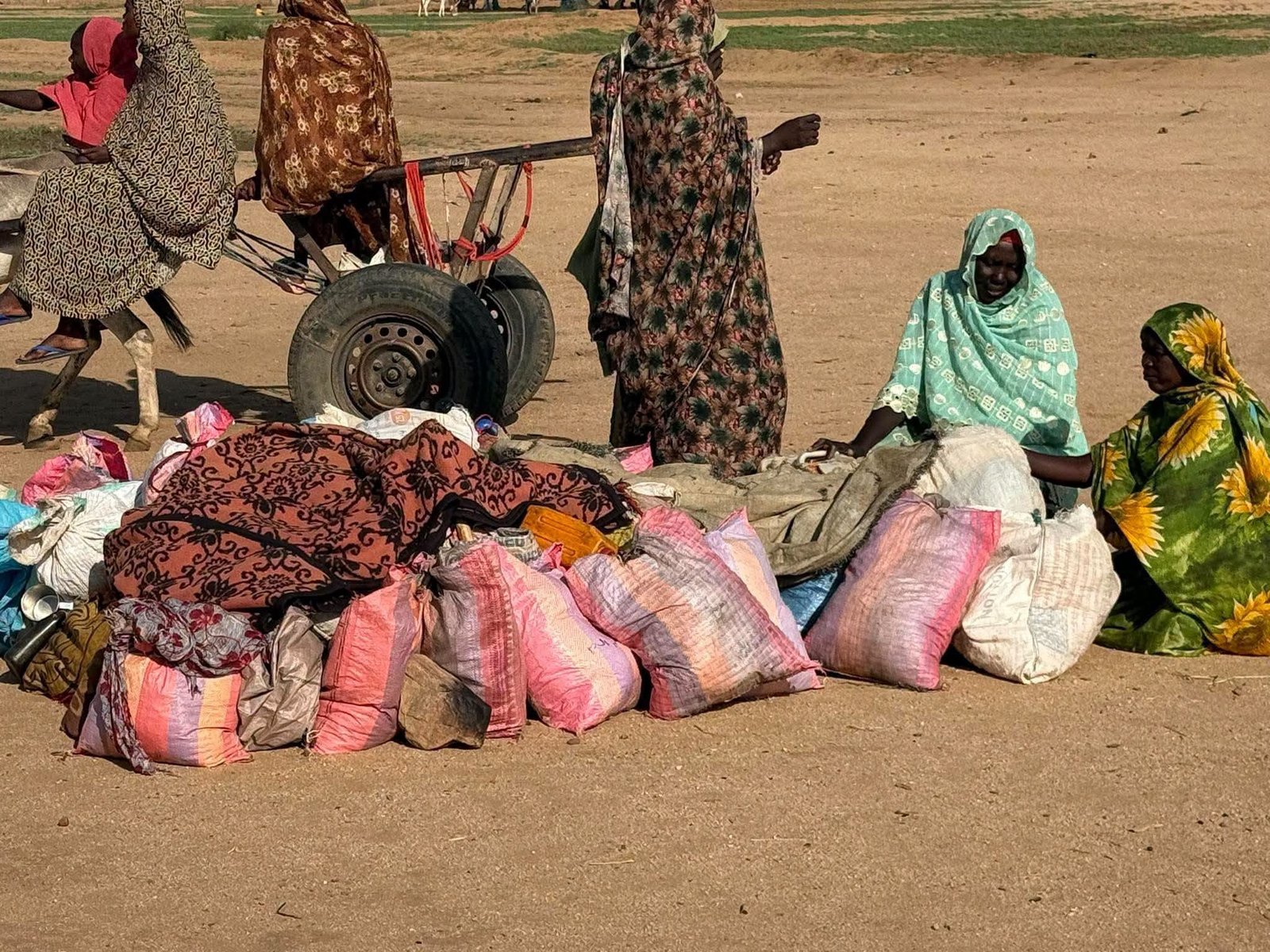 تدفق 193 أسرة جديدة إلى "طويلة".. منسقية النازحين تُطلق نداء استغاثة عاجل للتدخل في دارفور