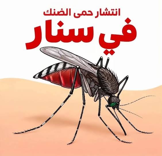 كارثة صحية تحاصر ولاية سنار: تفاقم خطير للإصابات بالملاريا وحمى الضنك ونداءات عاجلة للتدخل